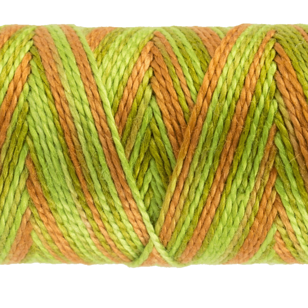 Sue Spargo Eleganza Threads - Variegated - Image 104